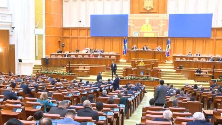 Circ și ironii în Parlament: N-am zis că sunt nici frumoasă, nici deșteaptă...