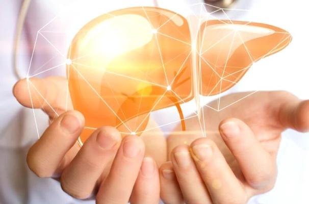  O boală antică are puterea de a regenera ficatul. Bacteriile pot avea capacități surprinzătoare