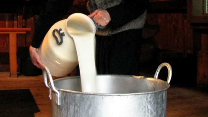 Fraudă alimentară, demascată de ANSVSA: Înlocuiau laptele de oaie și de capră cu lapte de vacă