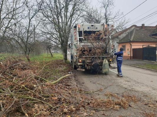 Planificare ridicare resturi vegetale din comuna Poarta Albă 