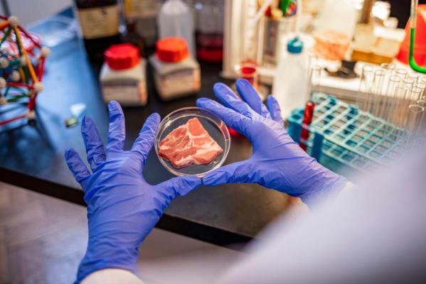 Carnea 'cultivată' în laborator, la un pas de realitate