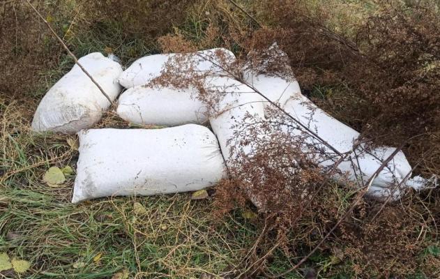 Hoți de cereale, prinși de polițiștii locali constănțeni 