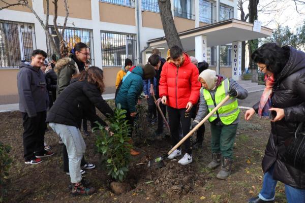 Elevii de la Liceul „Ovidius” au desfășurat o acțiune de plantare în curtea instituției