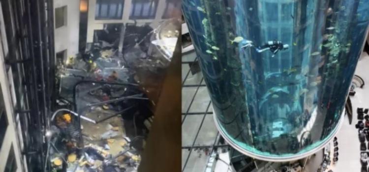 Grădina Zoologică din Berlin tratează peştii răniţi în urma exploziei de la acvariul gigantic AquaDom