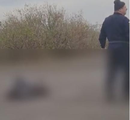 Biciclist cu mâinile amputate, după ce a fost lovit de TIR, în fața la Petromidia. Video