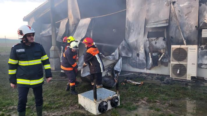 Hală cu 9.000 de găini arsă într-un incendiu, din Satu Mare 