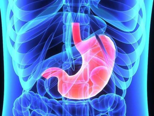Cancerul de stomac și dieta: 5 factori legați de alimentație care cresc riscul de cancer gastric