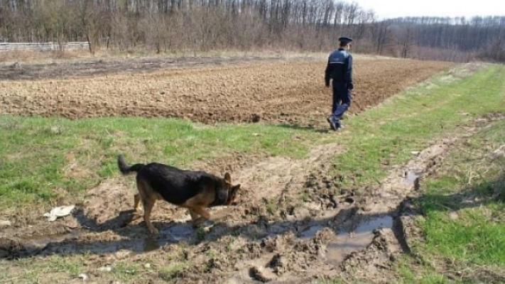 Un băiat de 16 ani a fost strivit de un utilaj agricol, pe câmp