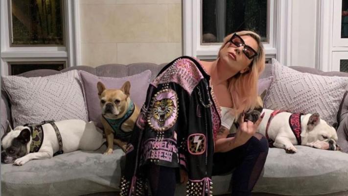 Unul dintre răpitorii câinilor cântăreţei Lady Gaga, condamnat la 21 de ani de închisoare