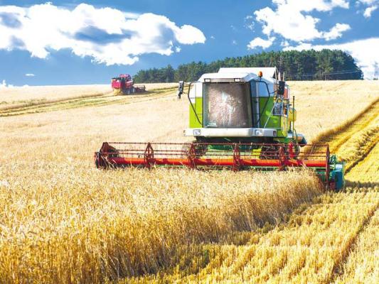 Mai multe bunuri ale lui Marius Bucur, de la  Agro Trade Grains, scose la licitație de lichidatori