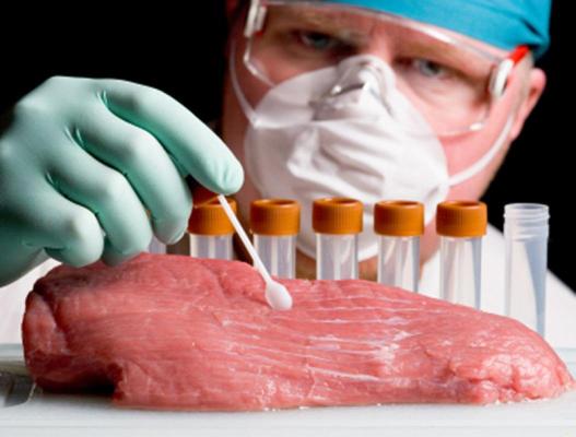 Medicii infecţionişti atenţionează asupra pericolului îmbolnăvirii de trichineloză