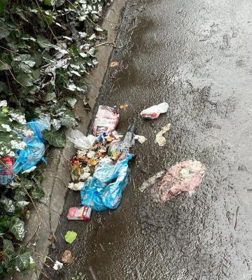 Depozitarea ilegală de deșeuri pe domeniul public, sancționată de polițistii locali