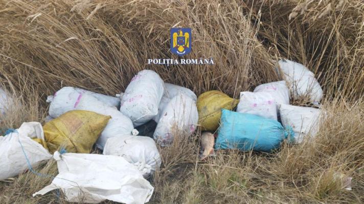Peste 280 de kg de pește, confiscate de polițiști, în Constanța și Tulcea. Video