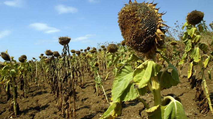 Agricultorii solicită Comisiei Europene să facă ordine pe piaţa îngrăşămintelor