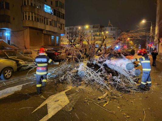Copac căzut pe carosabil pe str. Mircea cel Bătrân