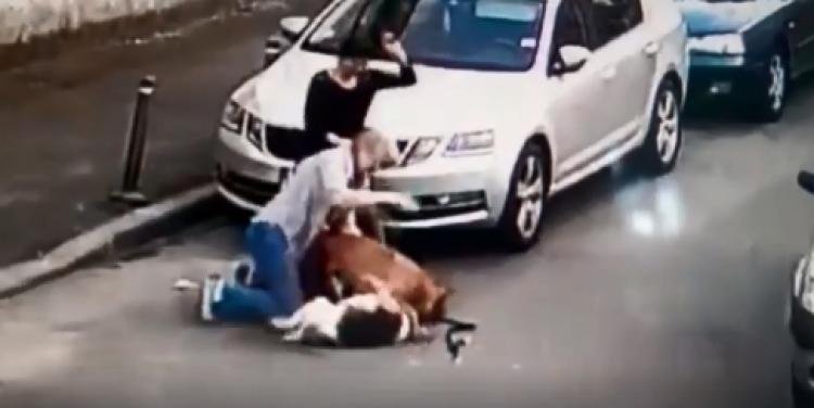 Copil atacat de o haită de câini într-o comună din Teleorman