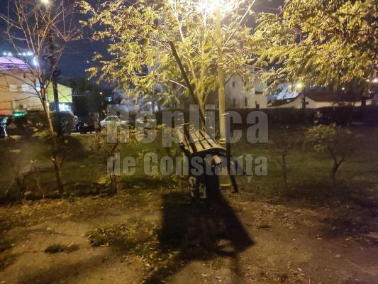 O firmă fără angajați și cifra de afaceri 0 se va ocupa de reparația mobilierului urban din Constanța
