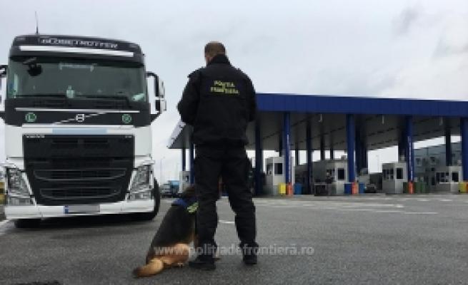O ucraineancă a vrut să intre cu o avere în România