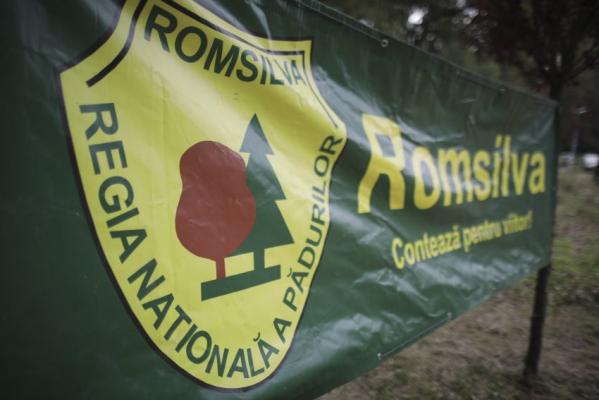 Jean Vișan este noul director interimar al Regiei Naționale a Pădurilor Romsilva