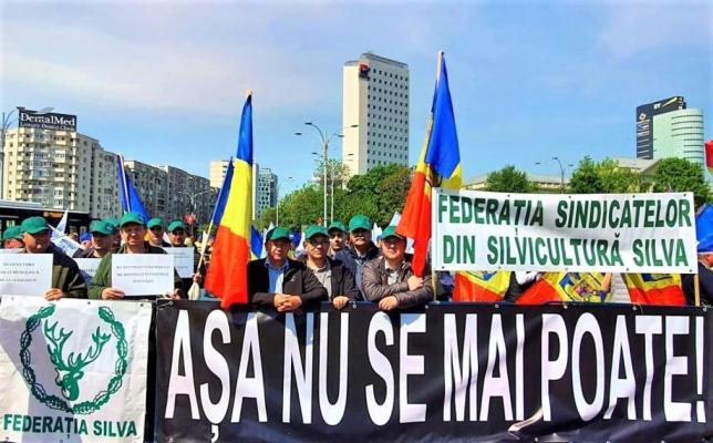 Silvicultorii vin la ușa lui Nicolae Ciucă, dezaprobând negocierile din PNRR