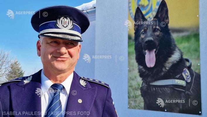 Singurul loc din România unde se pregătesc câinii de salvare în caz de cutremur (VIDEO)