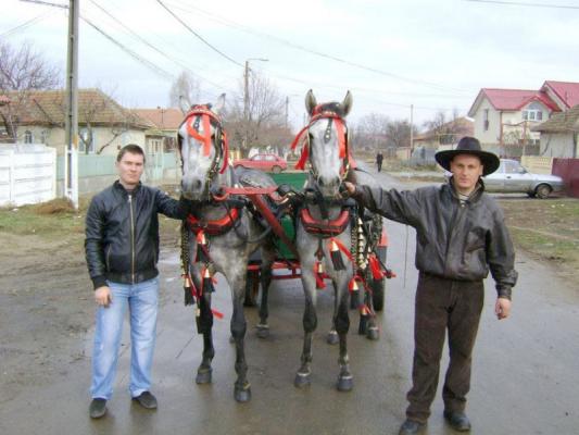 Botezul Cailor, o tradiţie dusă mai departe, la Mihail Kogălniceanu