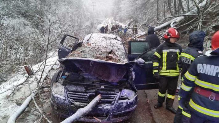Adolescent de 14 ani, mort după ce un copac a căzut peste maşina în care se afla