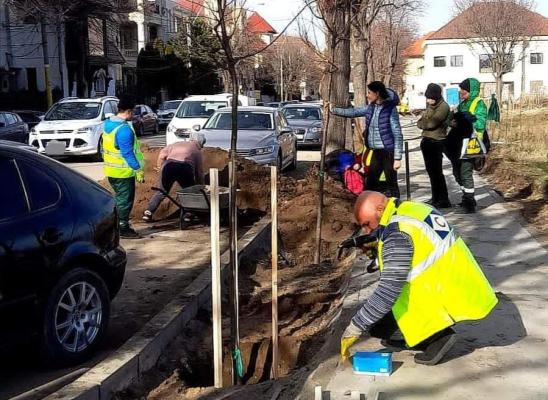 Primăria Constanța a început reabilitarea străzii Mihai Eminescu