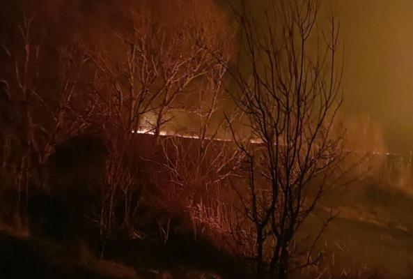 Incendiu de vegetație, în apropiere de localitatea Sulina. Video