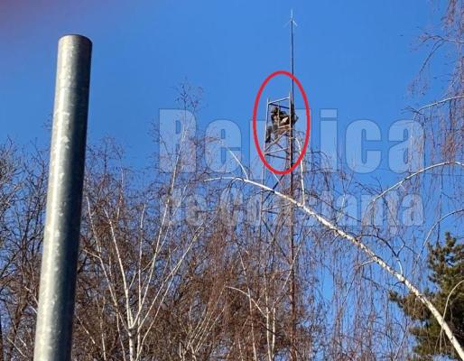 Un bărbat a amenințat că se aruncă în gol de pe un stâlp, în Năvodari. Video