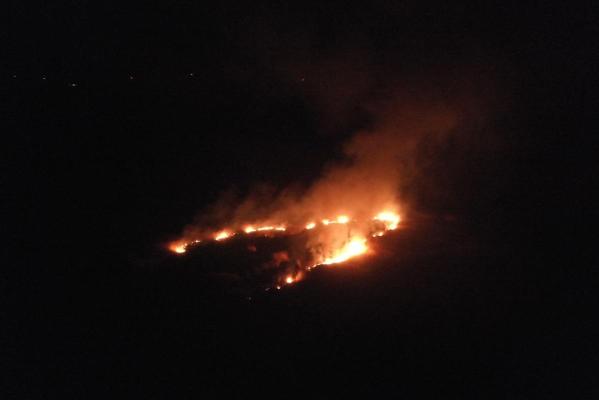 Incendiu de vegetație, în Lipnița spre balta Oltina