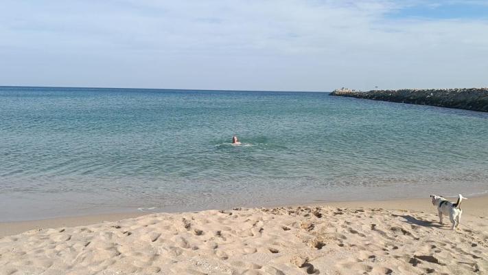 Sportivul din Techirghiol, Arun Asan, baie în mare, la mijlocul lui februarie. Video