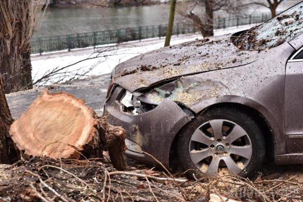 Un copac a căzut peste un autoturism, pe DN14. Traficul a fost blocat