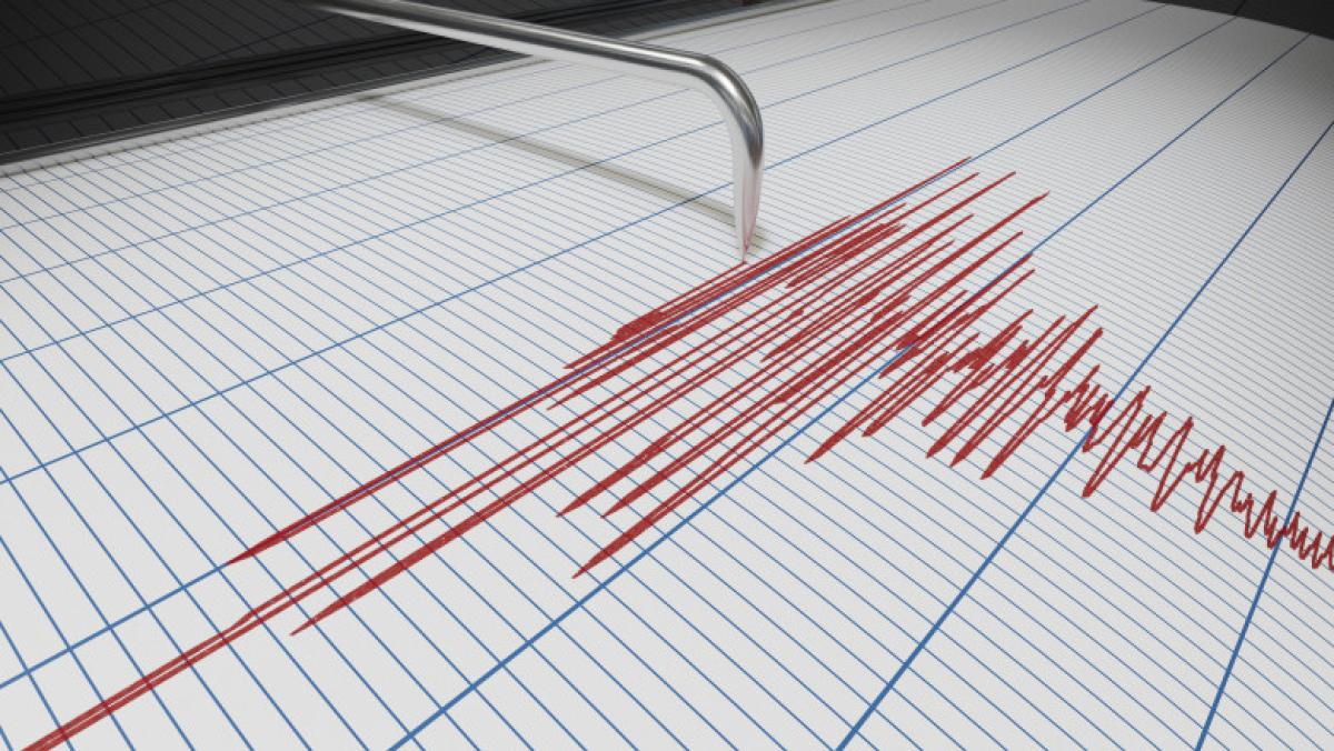 Cutremur cu magnitudinea de 4,9 grade in Gorj 