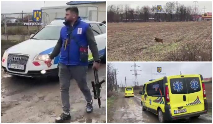 Caz cumplit! Încă o femeie a fost sfâșiată de câini