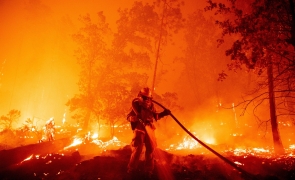 Incendii de vegetatie din Chile: peste 750 de hectare de padure au fost distruse