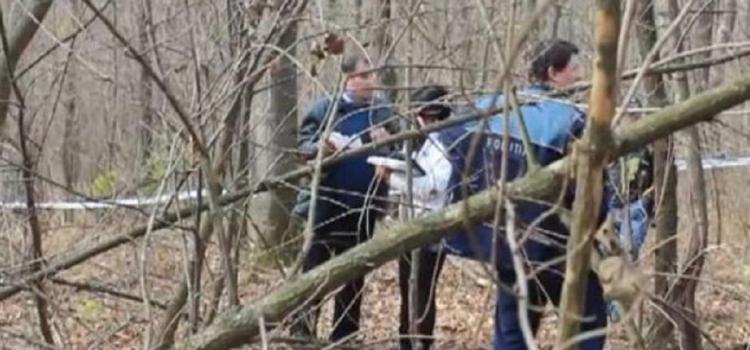 A bătut un pădurar, că nu îi lăsa oile să pască în pădure