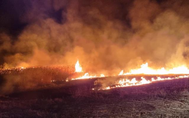 Incendiile de vegetaţie, inundaţiile au făcut cel puţin cinci victime în Rusia 