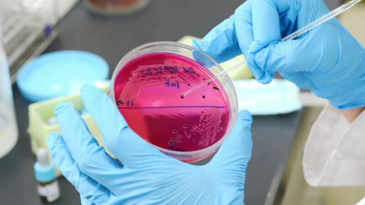 Alertă! Salmonella și Campylobacter nu mai răspund la antibioticele utilizate în mod obișnuit