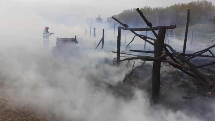 Incendiu la o stână de oi, în apropiere de localitatea Măcin