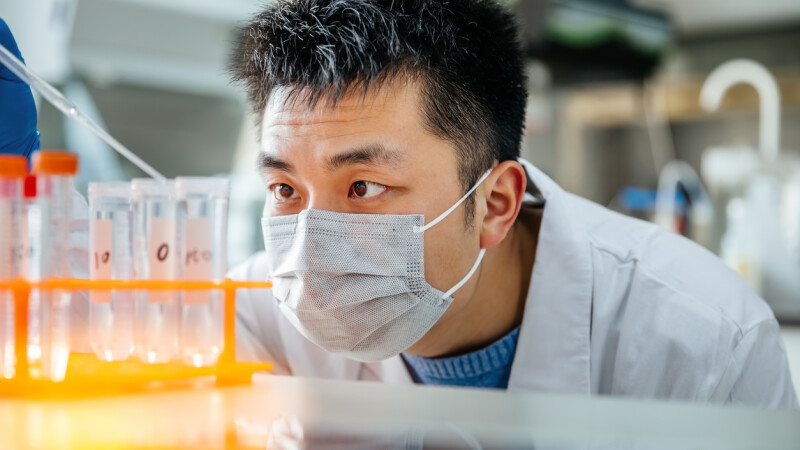 Cercetatorii chinezi au creat un invelis mineral menit sa ajute probioticele sa supravietuiasca procesului de productie si digestiei