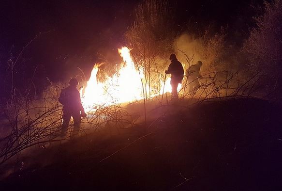 Incendiu de vegetatie uscata, intre localitatile Vlahi si Aliman