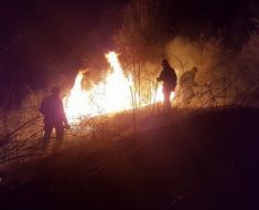Incendiu de vegetație în localitatea Vadu! Incendiu de vegetație în localitatea Vadu!