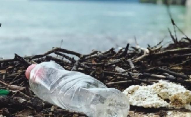 Semnal de alarmă: cercetătorii au descoperit 'roci' din plastic pe o insulă îndepărtată din Brazilia