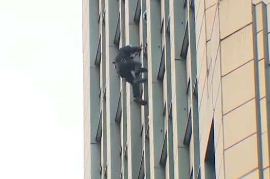 Un politist a coborat in rapel de la etajul 31 al unui zgarie-nori pentru a prinde un fugar. Video