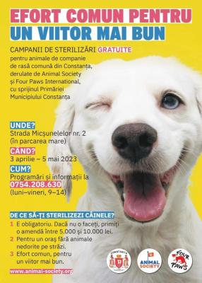 Prima campanie de sterilizare gratuită a maidanezilor, din 2023, începe azi!