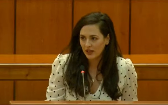 Diana Stoica, USR: PSD şi PNL sabotează proiectul de lege „fără păcănele lângă şcoli“