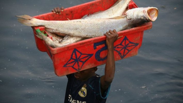 Cincizeci de pescari din Republica Guineea, afectaţi de o boală de piele misterioasă  