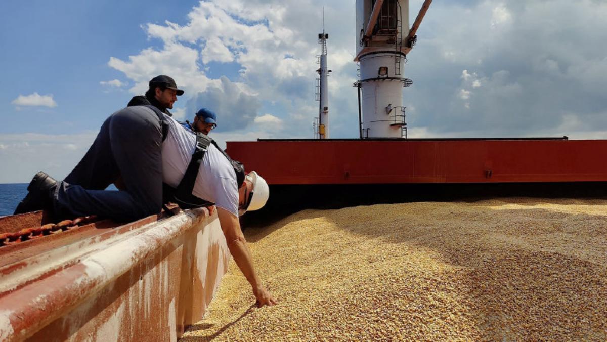 Spania sustine ca interzicerea cerealelor ucrainene de unele state UE este ilegala