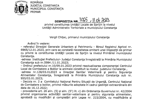 Primăria Constanța a înființat Unitatea Locală de Sprijin. Despre ce e vorba 